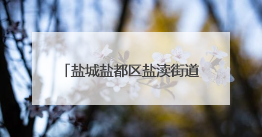 盐城盐都区盐渎街道徐志刚：项目建设工地上的“啄木鸟”