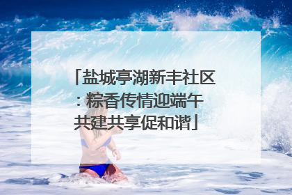 盐城亭湖新丰社区：粽香传情迎端午 共建共享促和谐