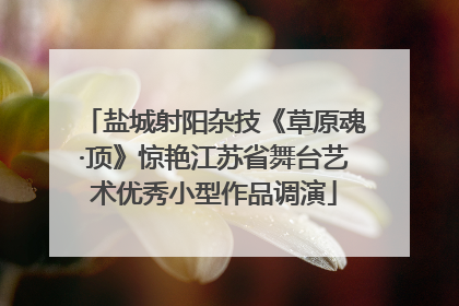 盐城射阳杂技《草原魂·顶》惊艳江苏省舞台艺术优秀小型作品调演