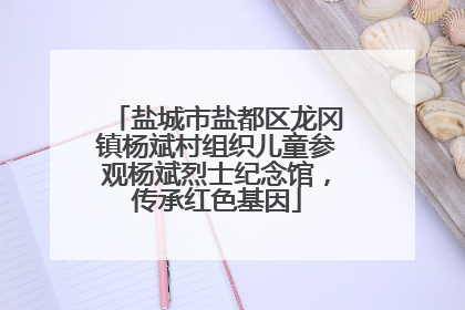 盐城市盐都区龙冈镇杨斌村组织儿童参观杨斌烈士纪念馆，传承红色基因