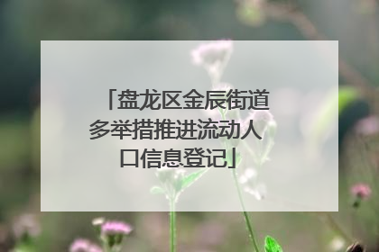 盘龙区金辰街道多举措推进流动人口信息登记