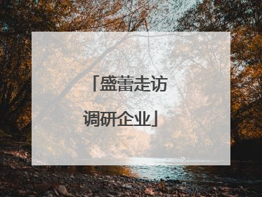 盛蕾走访调研企业