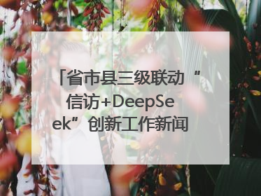 省市县三级联动“信访+DeepSeek”创新工作新闻发布会举行
