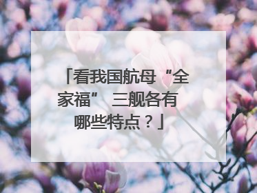 看我国航母“全家福” 三舰各有哪些特点？