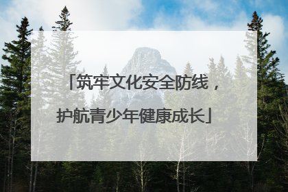筑牢文化安全防线，护航青少年健康成长