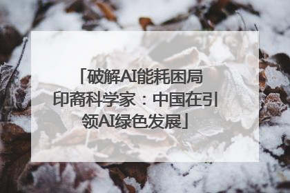 破解AI能耗困局 印裔科学家：中国在引领AI绿色发展