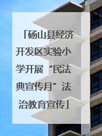 砀山县经济开发区实验小学开展“民法典宣传月”法治教育宣传