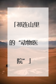 祁连山里的“动物医院”