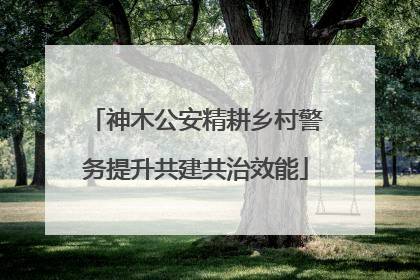 神木公安精耕乡村警务提升共建共治效能