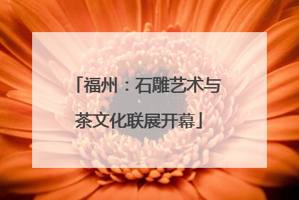 福州：石雕艺术与茶文化联展开幕