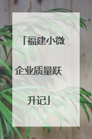 福建小微企业质量跃升记