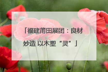 福建莆田展团：良材妙造 以木塑“灵”