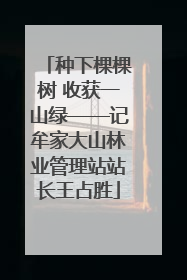 种下棵棵树 收获一山绿——记牟家大山林业管理站站长王占胜