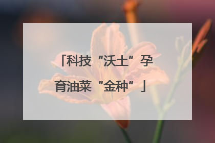 科技“沃土”孕育油菜“金种”