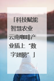 科技赋能智慧农业 云南咖啡产业插上“数字翅膀”