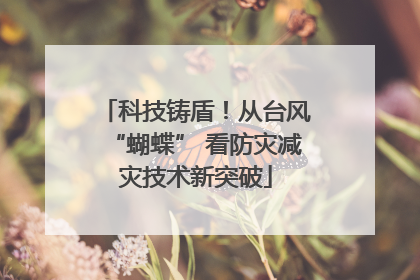 科技铸盾！从台风“蝴蝶” 看防灾减灾技术新突破