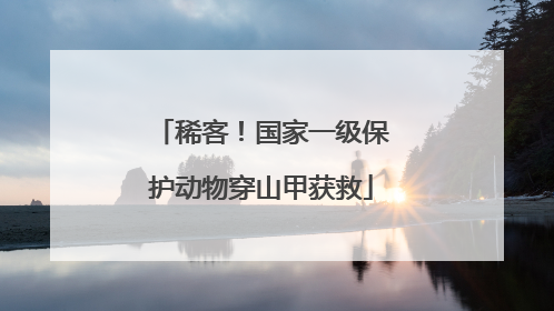 稀客！国家一级保护动物穿山甲获救