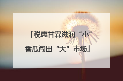 税惠甘霖滋润“小”香瓜闯出“大”市场