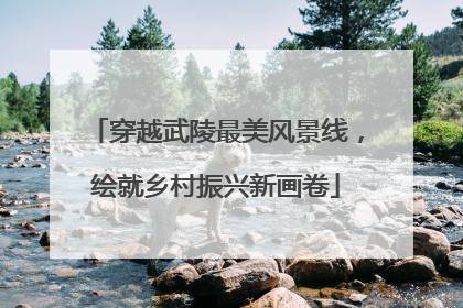 穿越武陵最美风景线，绘就乡村振兴新画卷