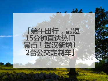 端午出行，最短15分钟直达热门景点！武汉新增12台公交定制车