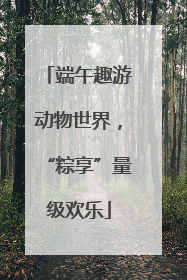 端午趣游动物世界，“粽享”量级欢乐