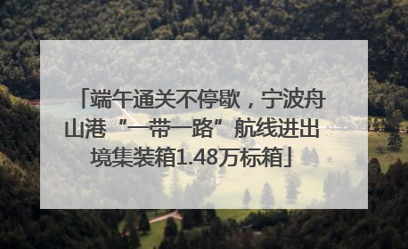 端午通关不停歇，宁波舟山港“一带一路”航线进出境集装箱1.48万标箱