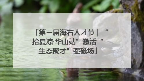 第三届海右人才节｜“拾夏凉·华山站”激活“生态聚才”强磁场