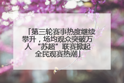 第三轮赛事热度继续攀升，场均观众突破万人 “苏超”联赛掀起全民观赛热潮