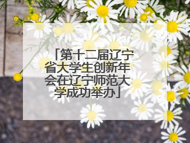 第十二届辽宁省大学生创新年会在辽宁师范大学成功举办