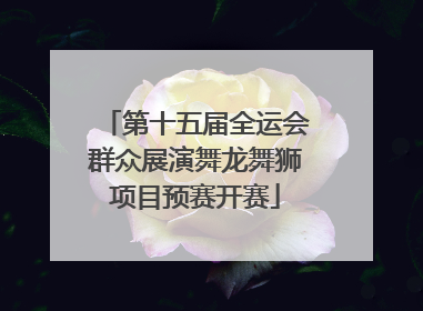 第十五届全运会群众展演舞龙舞狮项目预赛开赛