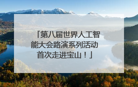 第八届世界人工智能大会路演系列活动首次走进宝山！