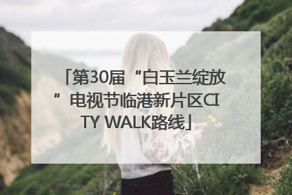 第30届“白玉兰绽放”电视节临港新片区CITY WALK路线