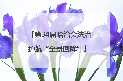 第34届哈洽会法治护航“全景回眸”