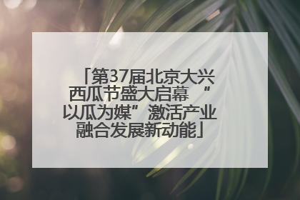 第37届北京大兴西瓜节盛大启幕 “以瓜为媒”激活产业融合发展新动能