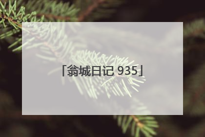 翁城日记 935