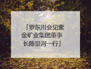 罗东川会见紫金矿业集团董事长陈景河一行