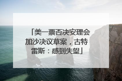 美一票否决安理会加沙决议草案，古特雷斯：感到失望