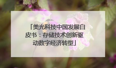 美光科技中国发展白皮书：存储技术创新驱动数字经济转型