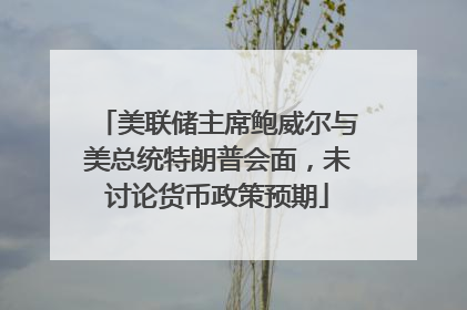 美联储主席鲍威尔与美总统特朗普会面，未讨论货币政策预期