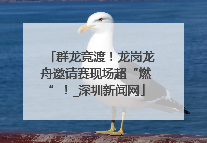 群龙竞渡！龙岗龙舟邀请赛现场超“燃”！_深圳新闻网