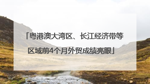 粤港澳大湾区、长江经济带等区域前4个月外贸成绩亮眼