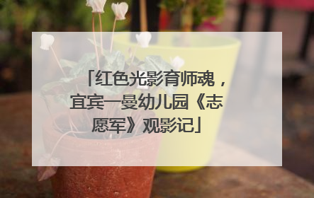 红色光影育师魂，宜宾一曼幼儿园《志愿军》观影记