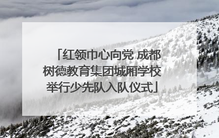 红领巾心向党 成都树德教育集团城厢学校举行少先队入队仪式