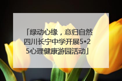 绿动心缘，意归自然 四川长宁中学开展5•25心理健康游园活动