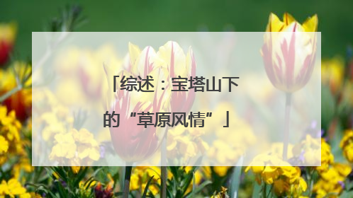 综述：宝塔山下的“草原风情”