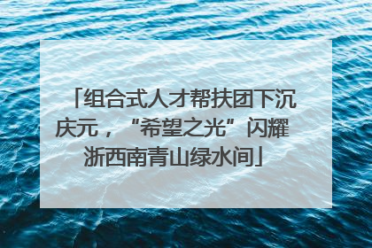 组合式人才帮扶团下沉庆元，“希望之光”闪耀浙西南青山绿水间