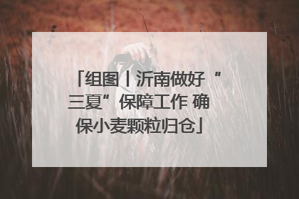 组图丨沂南做好“三夏”保障工作 确保小麦颗粒归仓