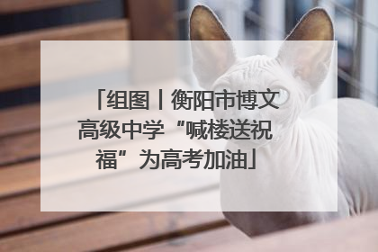组图丨衡阳市博文高级中学“喊楼送祝福”为高考加油
