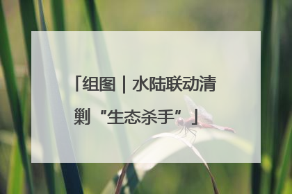 组图｜水陆联动清剿“生态杀手”