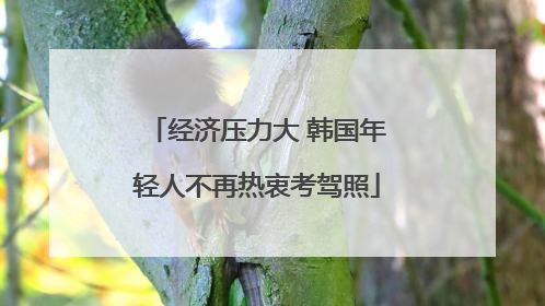 经济压力大 韩国年轻人不再热衷考驾照